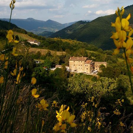 Country House Villa La Farfalla Pietralunga  Exteriér fotografie