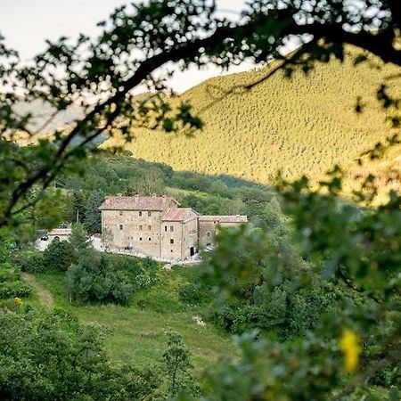 Country House Villa La Farfalla Pietralunga  Exteriér fotografie