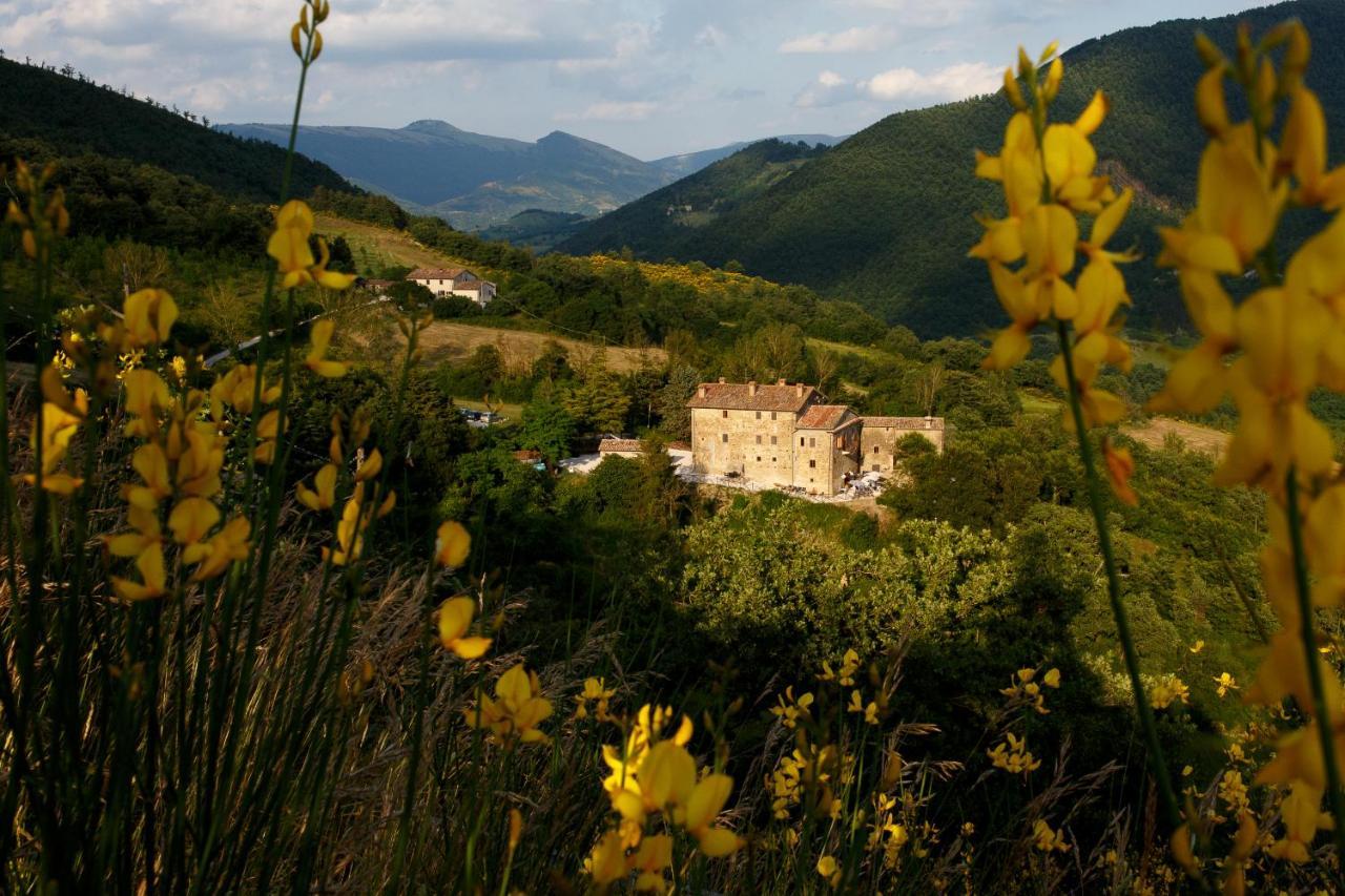 Country House Villa La Farfalla Pietralunga  Exteriér fotografie